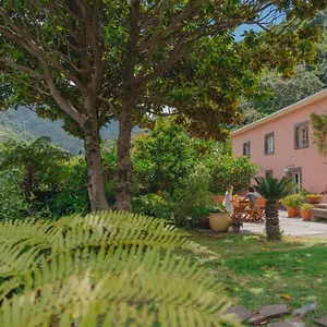 north-coast-guest-house.madeira-islandshotels.com/